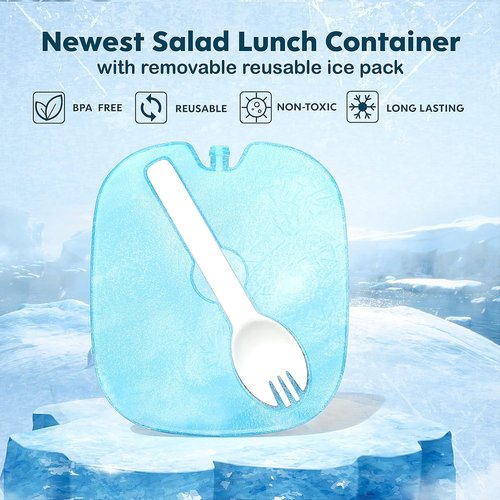 Cherrysea Salad Lunch Container - Leakproof Bento Box with Ice Pack & 4 Compartments | Pink, 1.3L