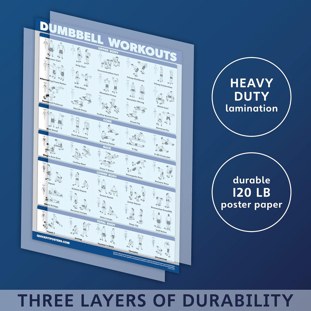Palace Learning 4 Pack - Laminated Workout Charts for Dumbbell, Bodyweight & Resistance Band Exercises | 18” x 24”