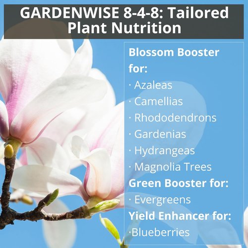 GardenWise 8-4-8 Acidic Fertilizer - Iron-Rich Plant Food for Azaleas, Hydrangeas & More | 12 OZ