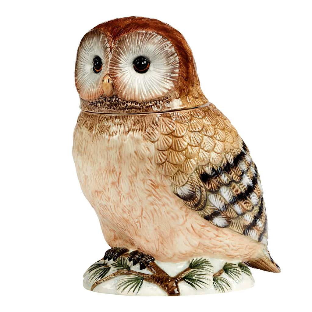 Winter’s Walk 3-D Ceramic Owl Cookie Jar – A majestic hand-painted owl cookie jar that brings rustic woodland charm to your kitchen, perfect for storing treats or decorating for the holidays, 88 oz.