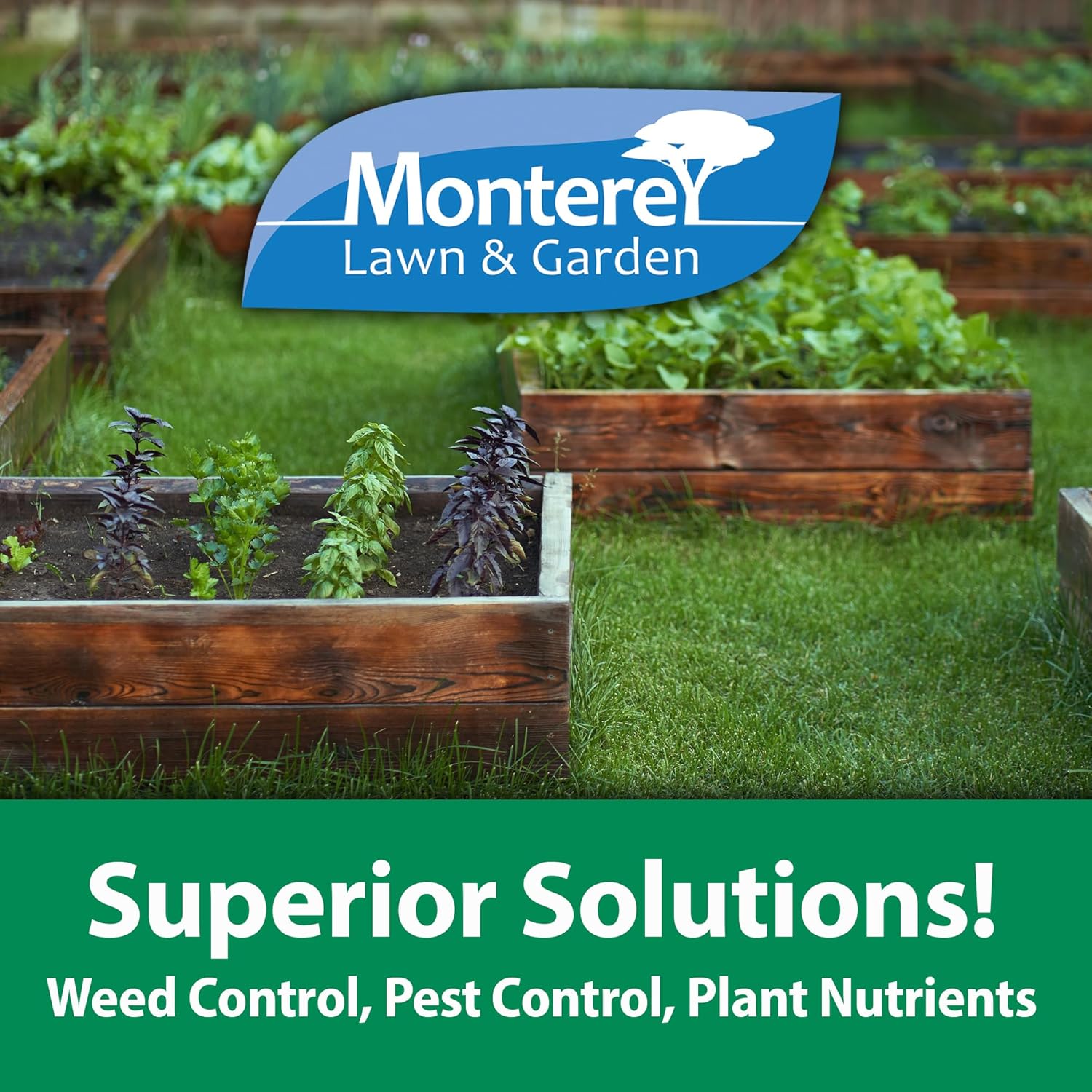 Monterey Spurge Power Herbicide Concentrate - Post Emergent Formula with Measuring Spoon - 1 Pint