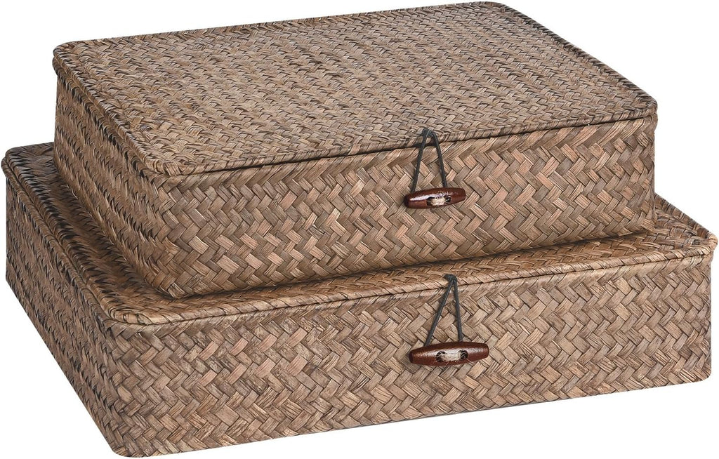 Seagrass Storage Bins Set of 2 - Woven Organizing Baskets with Lids for Home & Office (Coffee)