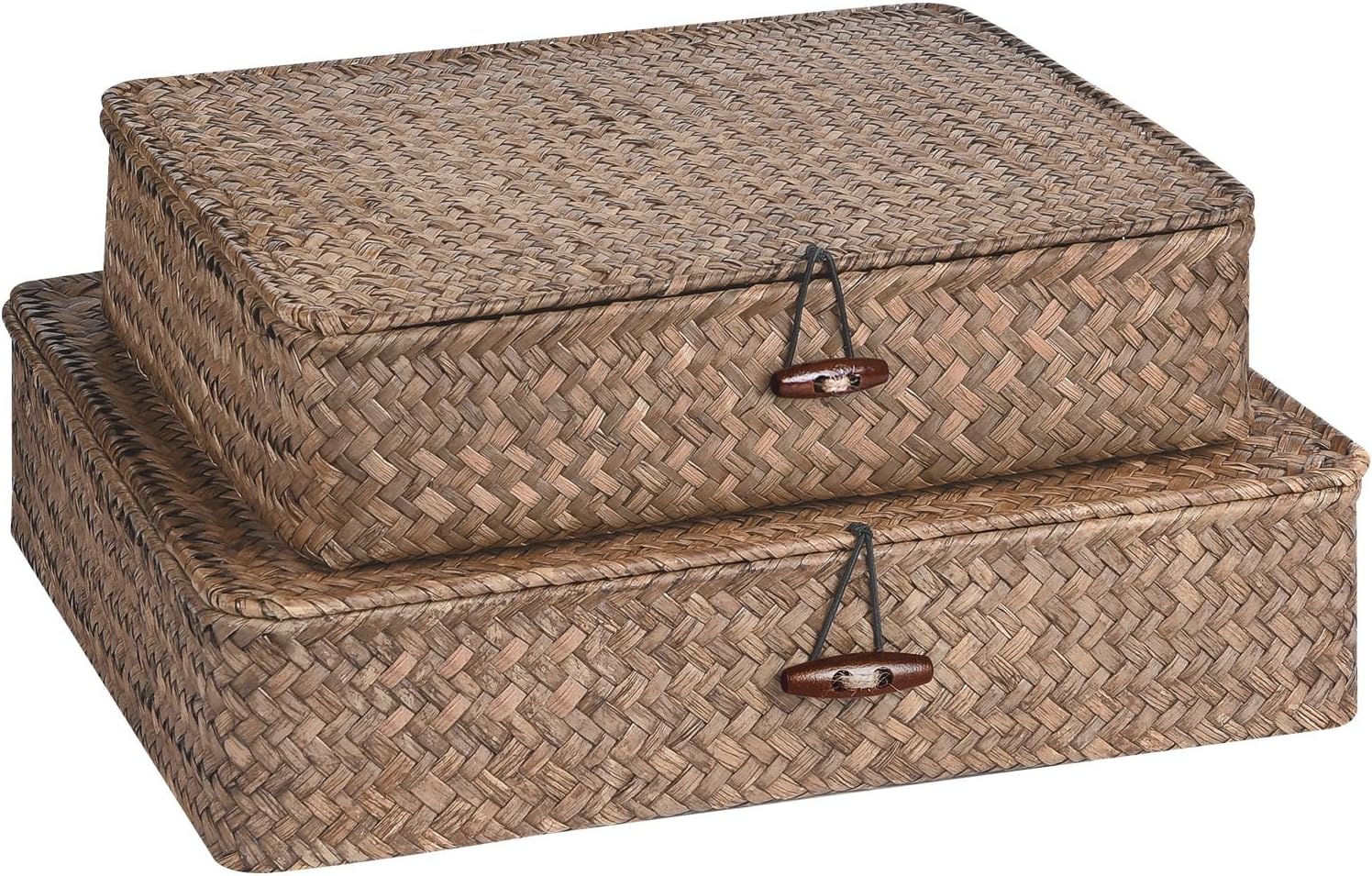 Seagrass Storage Bins Set of 2 - Woven Organizing Baskets with Lids for Home & Office (Coffee)