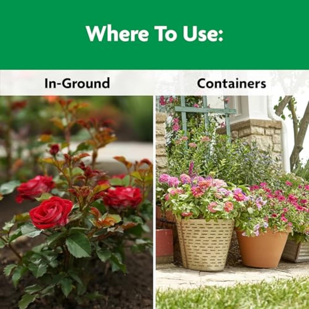 Miracle-Gro Shake 'n Feed Rose & Bloom Plant Food - Long-Lasting Granular Fertilizer for Flowers - 4.5 lbs