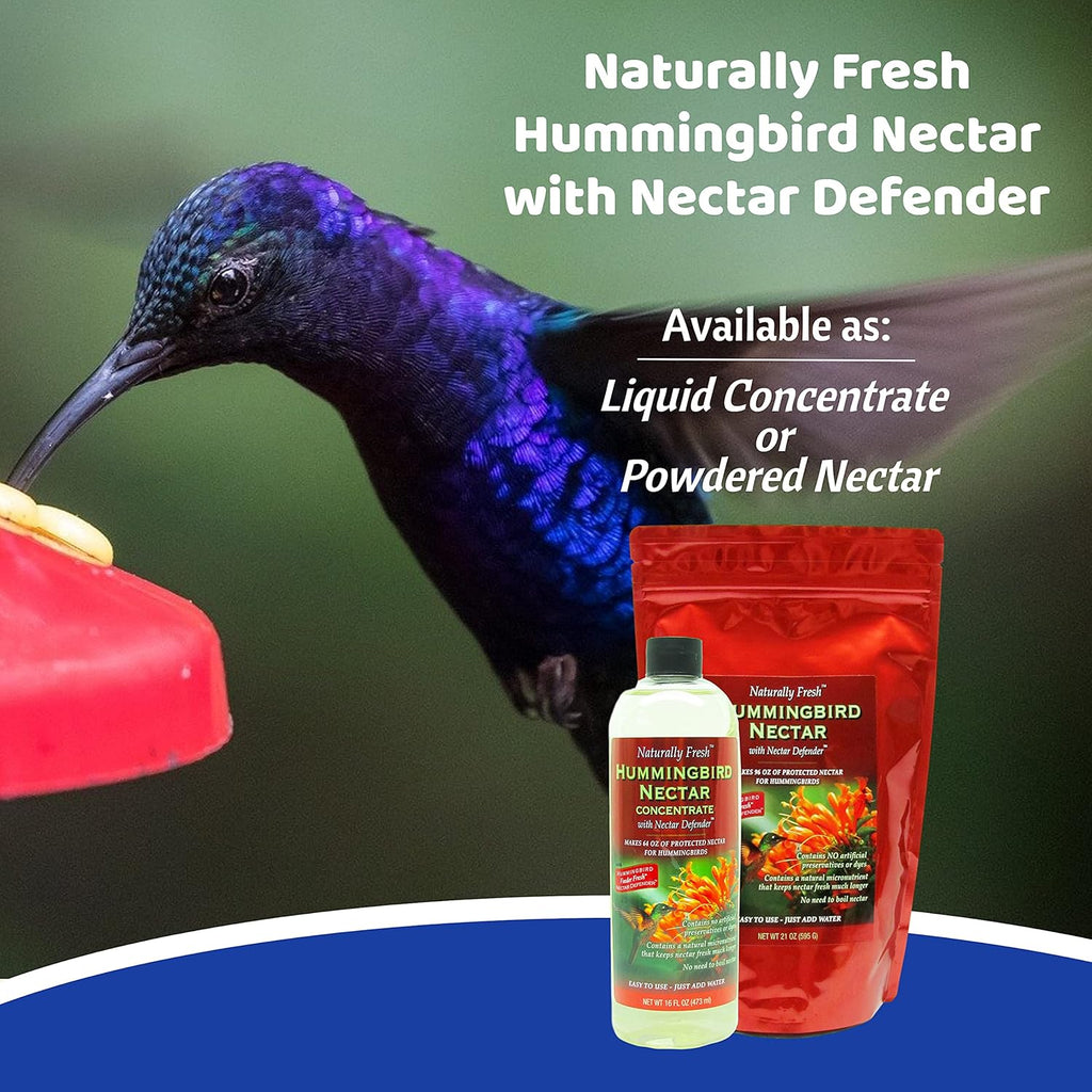 Sapphire Labs Hummingbird Nectar - Naturally Fresh Powder Makes 96 oz | Lasts Longer with Nectar Defender