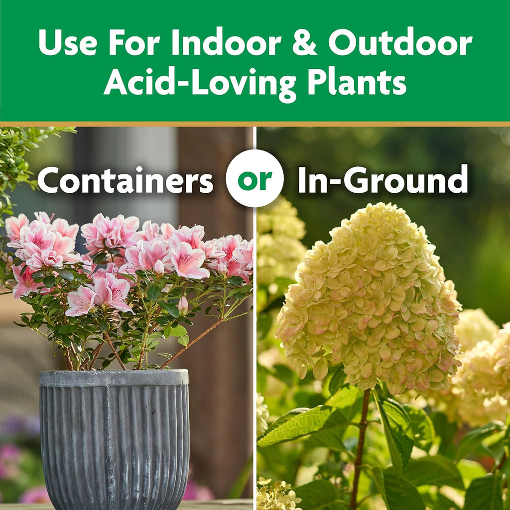 Miracle-Gro Water Soluble Plant Food - Fertilizer for Azaleas, Camellias & Rhododendrons, 5 lb.