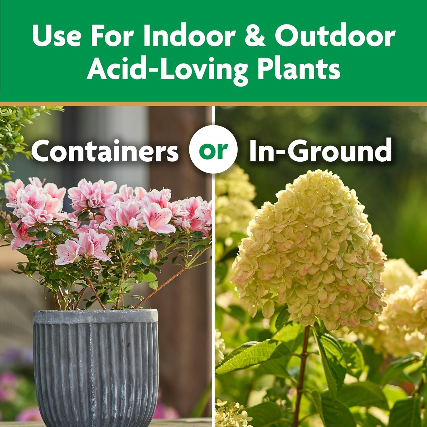 Miracle-Gro Water Soluble Plant Food - Fertilizer for Azaleas, Camellias & Rhododendrons, 5 lb.