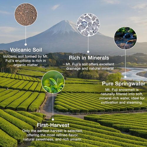 Asayu Japan Fuji Matcha Powder - Ceremonial Grade Green Tea from Mt. Fuji | 30g Can