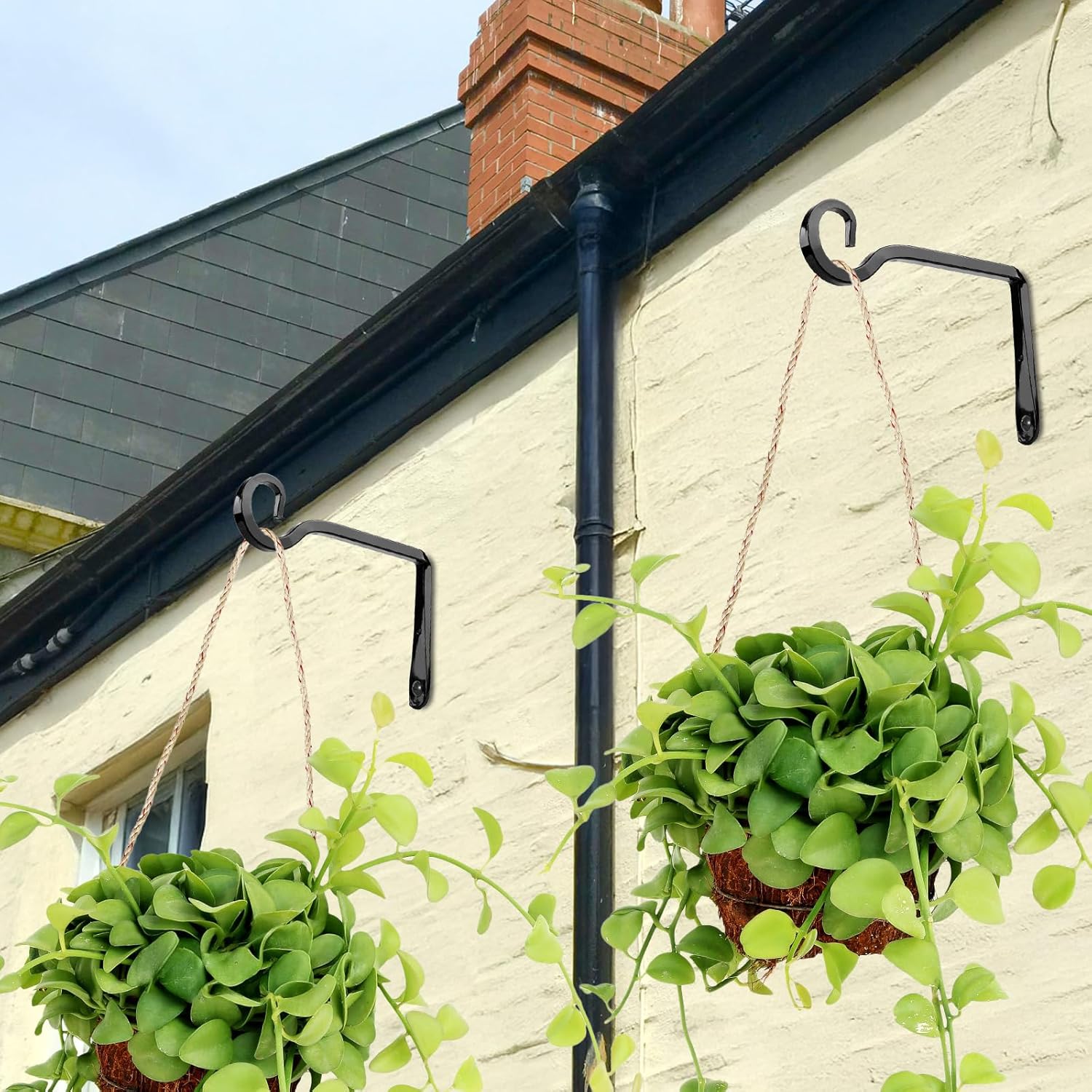 MOWPOG Plant Hangers - 6-Inch Metal Hooks for Outdoor & Indoor Use | 2-Pack Black Wall Brackets