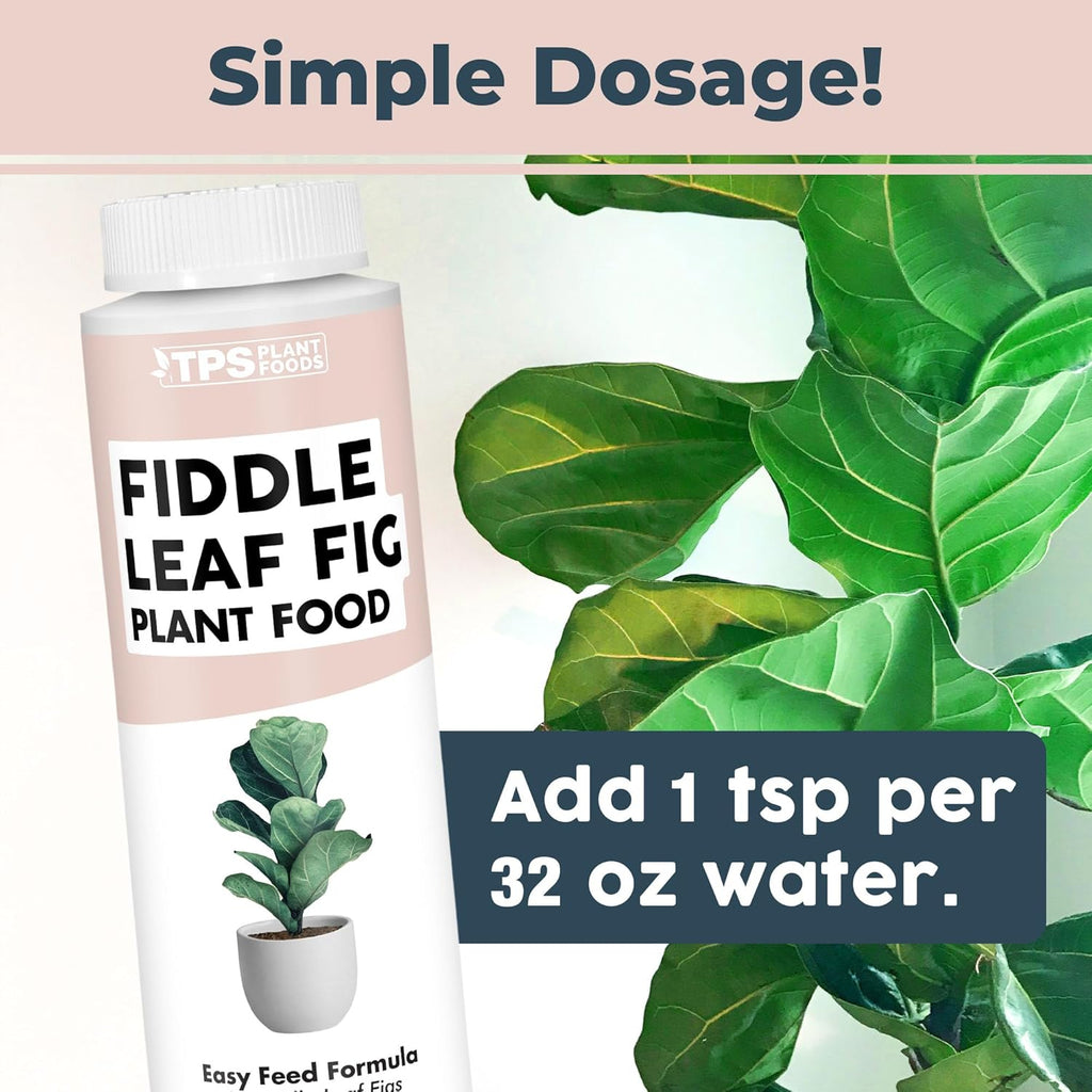 Skiennix Fiddle Leaf Fig Plant Food - Liquid Formula for Bigger Leaves & Stronger Roots | 8 oz
