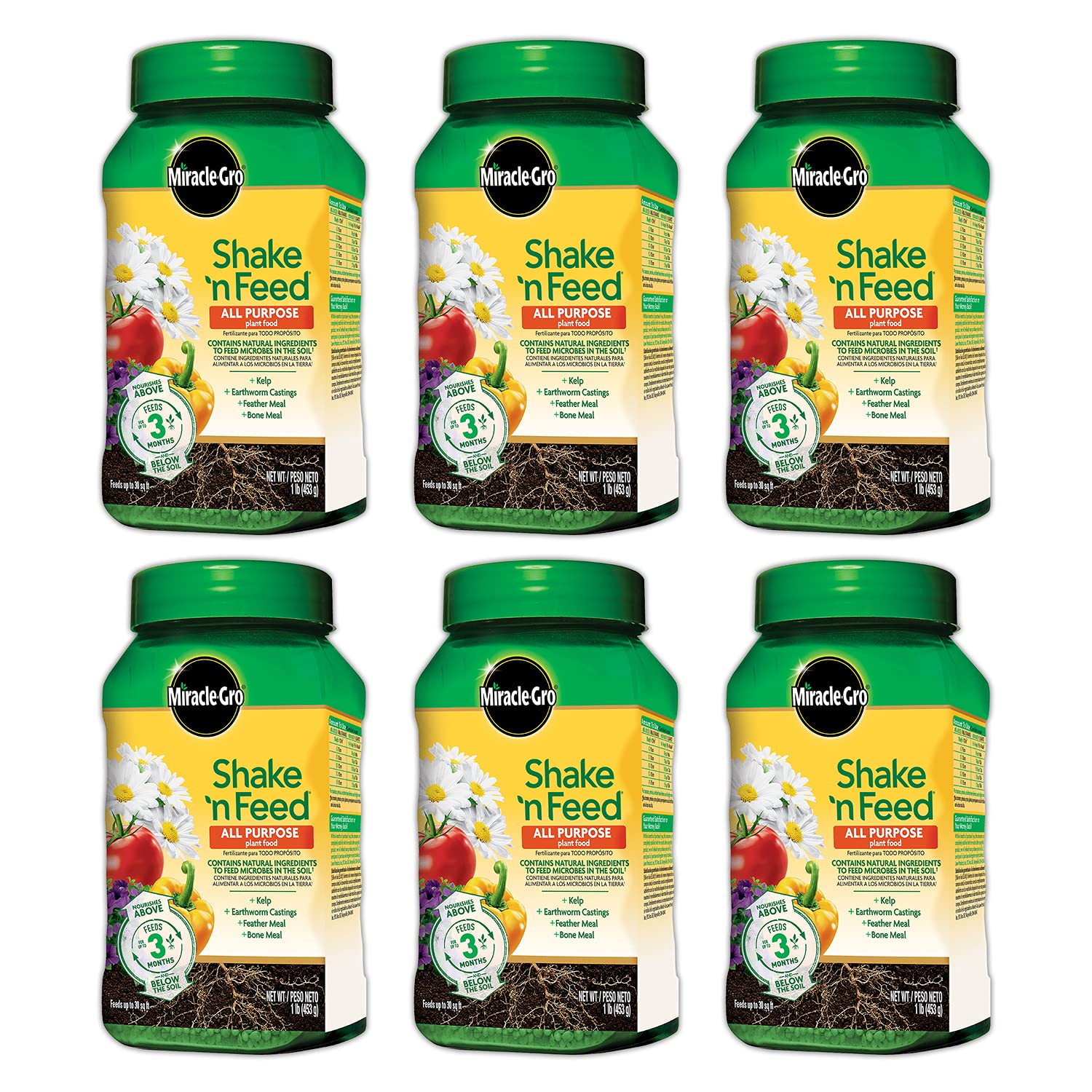 Miracle-Gro Shake 'N Feed Plant Fertilizer - All Purpose 1 lb. | 6-Pack for Healthy Growth