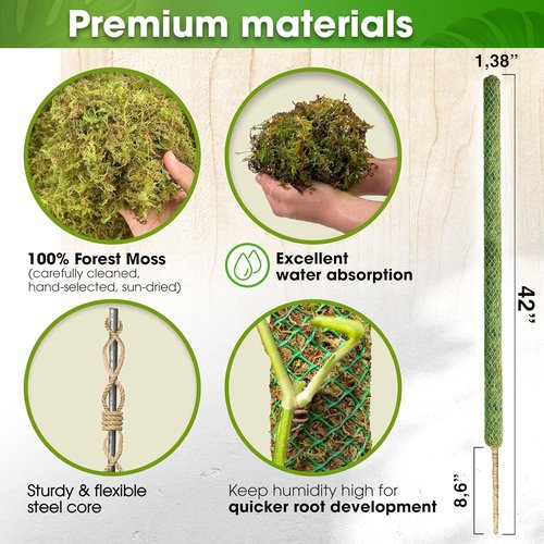 DUSPRO 42” Natural Moss Pole - Premium Support for Climbing Plants | Ideal for Monstera & Indoor Use