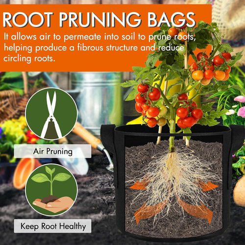 Gardzen 1 Gallon Grow Bags - 10-Pack Heavy Duty 300G Thickened Fabric with Handles for Aeration