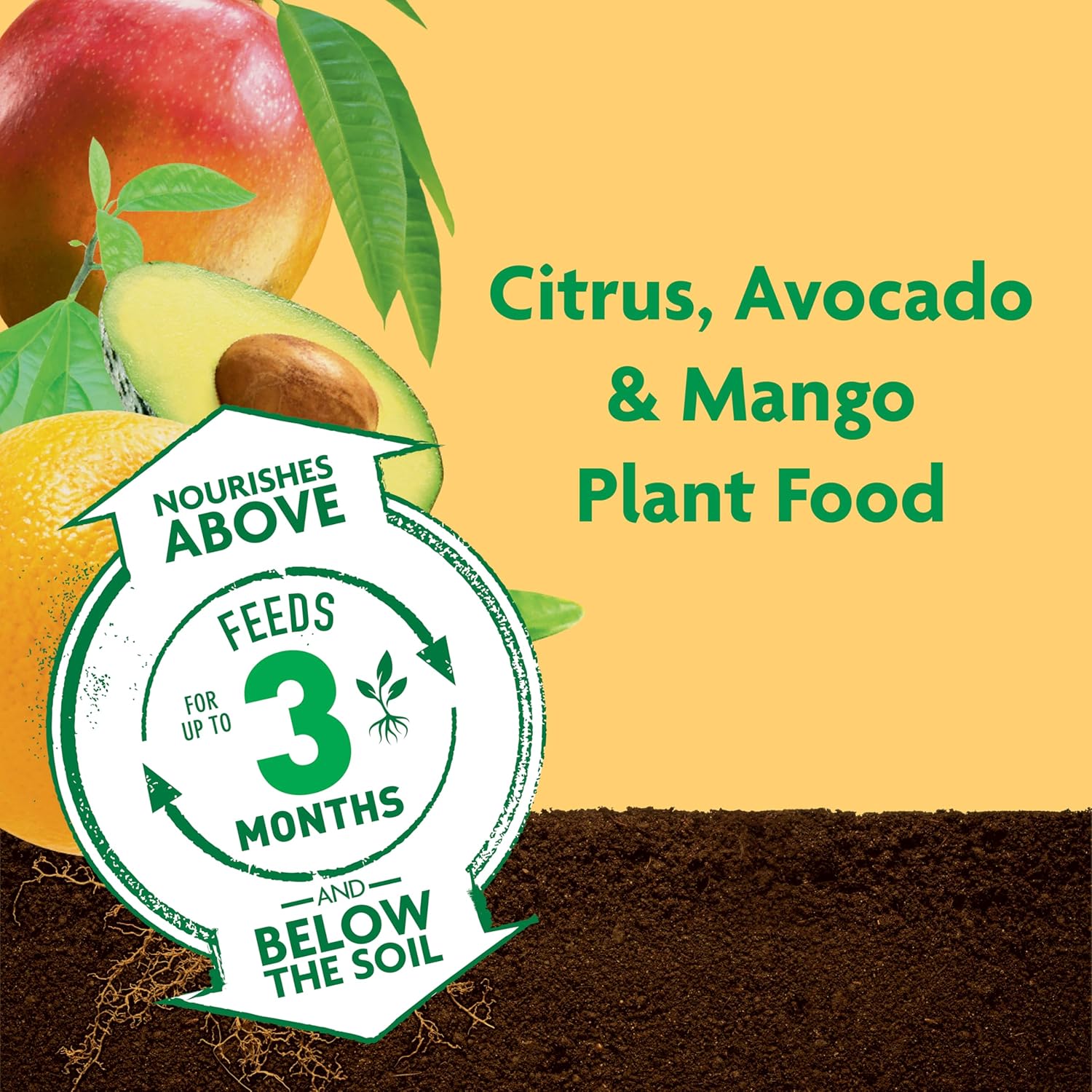 Miracle-Gro Shake 'N Feed Plant Food - Nourishes Citrus, Avocado & Mango Trees | 4.5 lbs