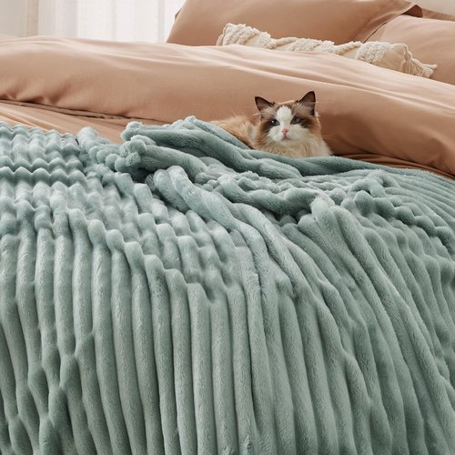 Bedsure GentleSoft Full Size Blanket - Cozy Sage Green Throw for Women | 84x90 Inches