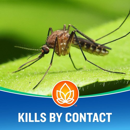 Cutter Essentials Bug Control Spray - Kills Mosquitoes on Contact | Effective Insect Repellent