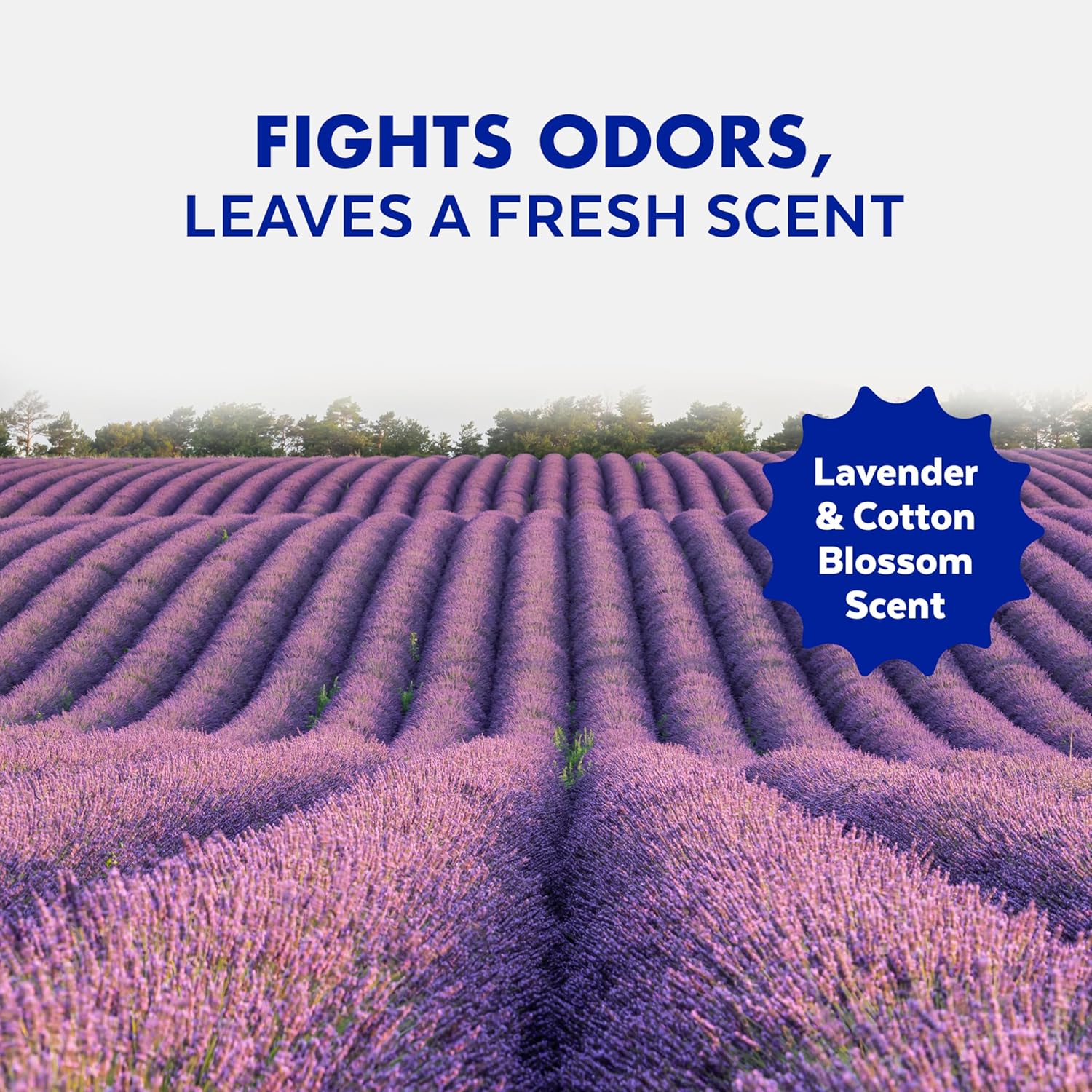 Lysol Toilet Bowl Cleaner Gel - Disinfecting Lavender & Cotton Blossom Scent | Septic Safe, 24 oz (Pack of 2)