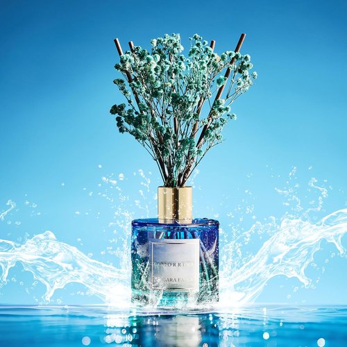 Cocorrína Reed Diffuser - Niagara Falls 6.7 Fl. Oz Set with 8 Sticks & Preserved Baby's Breath | Home Decor