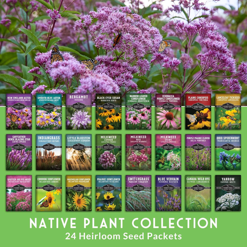 Native Wildflower Seeds | 24 Variety Pack for Butterfly & Bee-Friendly Gardens - Non-GMO Heirloom