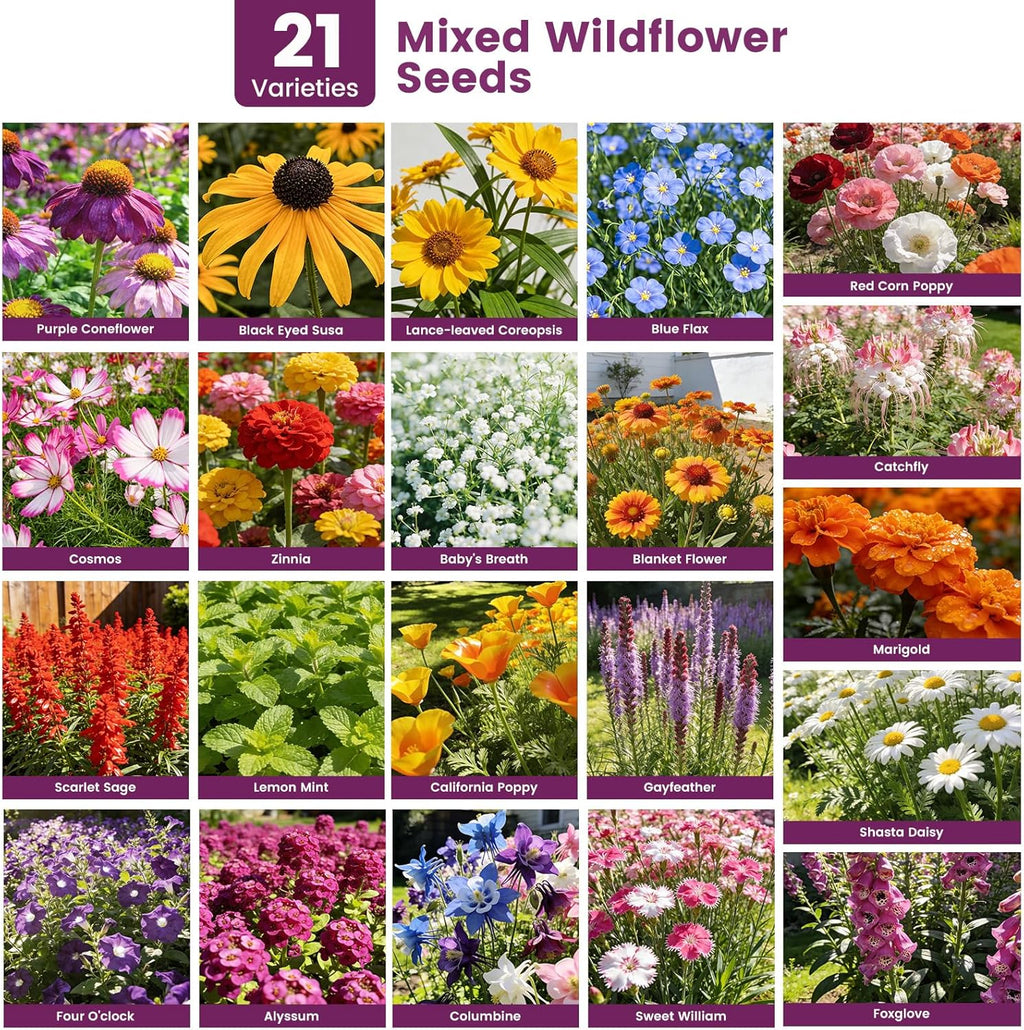 Wildflower Seeds - 10,000+ Bulk Butterfly & Hummingbird Mix | 21 Varieties of Heirloom Perennials & Annuals