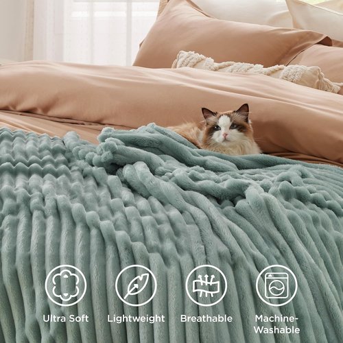 Bedsure GentleSoft Twin XL Blanket - Cozy Sage Green Fleece Throw for Couch, 66x90 Inches