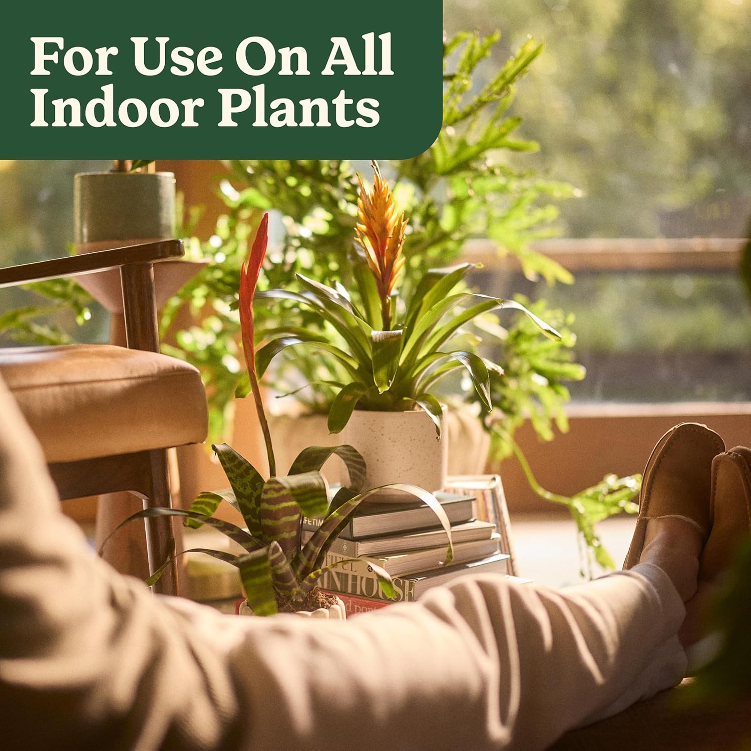 Miracle-Gro Organic Indoor Plant Food - Liquid Fertilizer for Houseplants & Flowers | 8 fl. oz. (2-Pack)