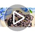 Rose Red No Hole Pearls - 100g Craft Beads for DIY Projects
