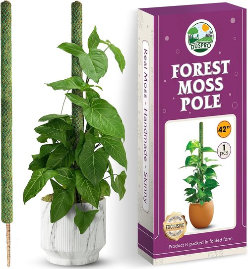 DUSPRO 42” Natural Moss Pole - Premium Support for Climbing Plants | Ideal for Monstera & Indoor Use
