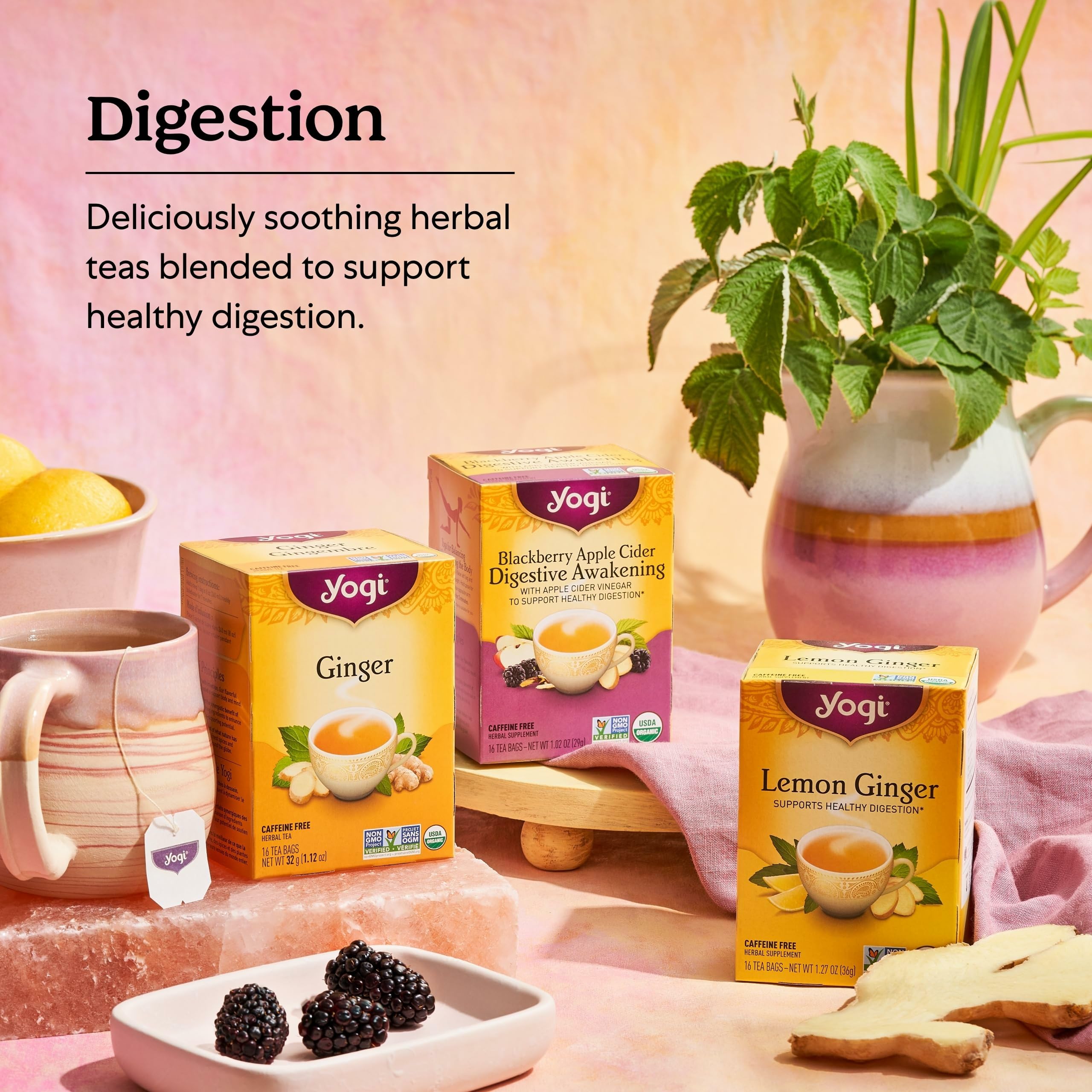 Yogi Tea Mango Ginger - 16 Bags per Pack (4 Packs) - Organic Ginger Root Tea to Support Healthy Digestion - Contains Antioxidants - Includes Cinnamon Bark, Rooibos Leaf, Mango Flavor & More