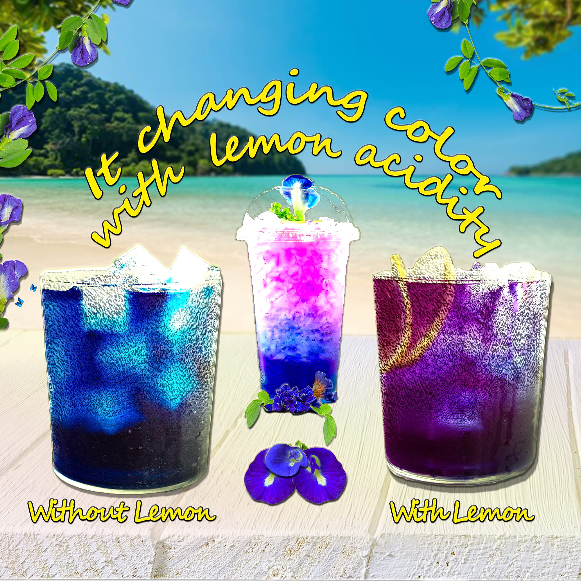 Butterfly Pea Tea 35.27 Oz / 1 kg | OkO-OkO - Premium - WHOLE DRIED FLOWER from Thailand - Blue natural infusion - Herbal tea - Organic Vegan food coloring - Natural color changing cocktail and meal