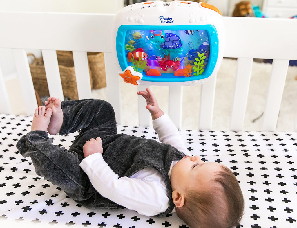 Baby Einstein Sea Dreams Soother