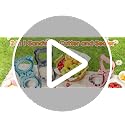 HINZER Crustless Sandwich Cutter and Sealer - Pink Bento Lunch Maker