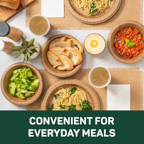 Dixie EcoSmart 100% Recycled Fiber Paper Plates - Large 10" Disposable Plates | 144 Count Pack of 4