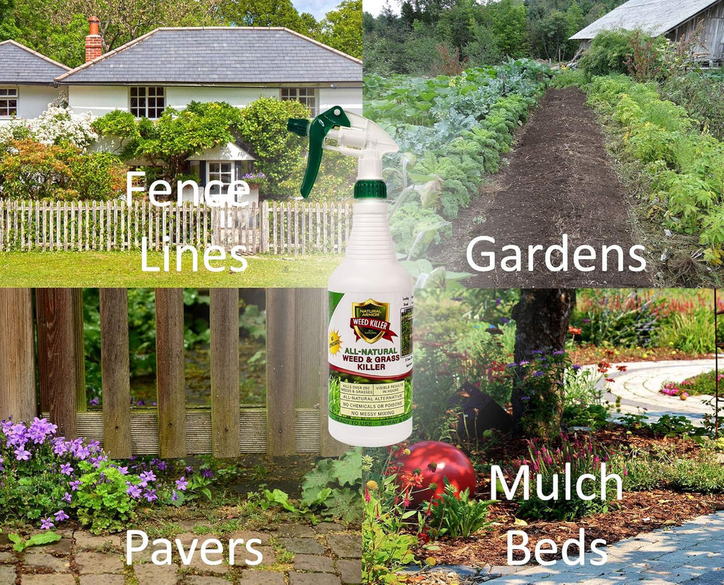 Natural Armor Weed & Grass Killer - All-Natural Concentrated Formula, Glyphosate-Free (128 Oz)