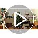 7FT Slim Prelit Christmas Tree with Warm White LED Lights, Green Variant