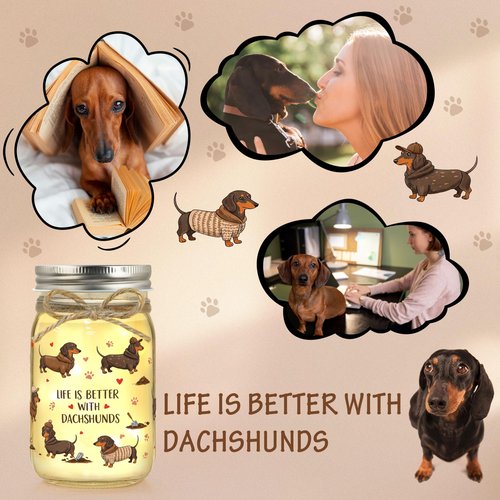 JoycuFF Dachshund Gifts for Women Dachshund Decor Weiner Dog Lover Gifts for Women Mason Jar Night Light
