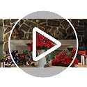 Artificial Christmas Poinsettia Flowers with Berry Stems Set - 12 Pieces