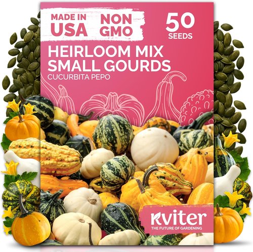 KVITER 50 Small Gourd Seeds Mix - Non-GMO & Organic Decorative Gourds for Fall Decor | Heirloom Seeds for Your Garden