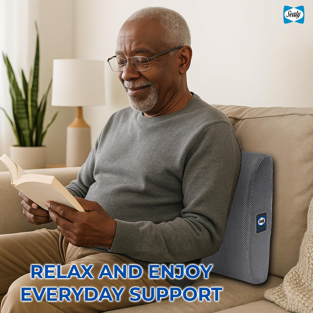 Sealy Ergonomic Lumbar Support Pillow for Office Chair and Car Seat - Memory Foam Back Support Lumbar Pillow, Premium Cushion Chair Support for Lower Back Pain Relief and Versatile Use (Gray)