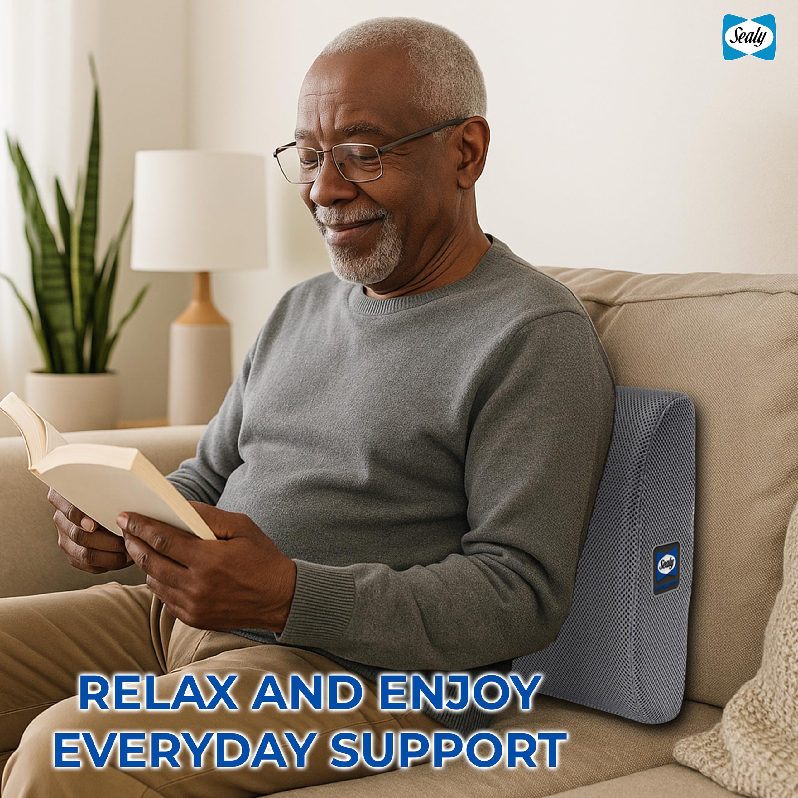 Sealy Ergonomic Lumbar Support Pillow for Office Chair and Car Seat - Memory Foam Back Support Lumbar Pillow, Premium Cushion Chair Support for Lower Back Pain Relief and Versatile Use (Gray)