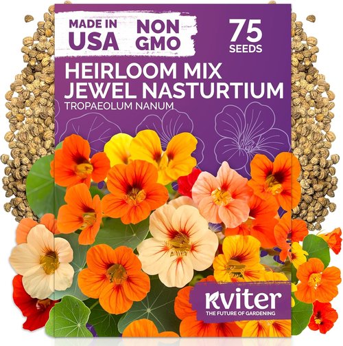 KVITER 75 Mix Jewel Nasturtium Seeds - Organic Heirloom Edible Flower Seeds for Garden & Containers