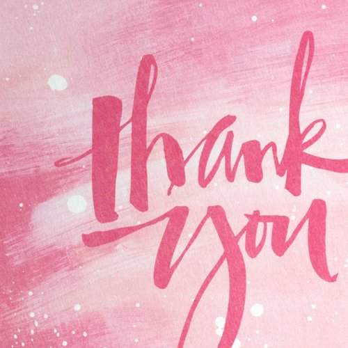 Hallmark Thank You Card Bulk Assortment (48 Blank Cards with Envelopes) for Graduation, Bridal Shower, Birthday, All Occasion