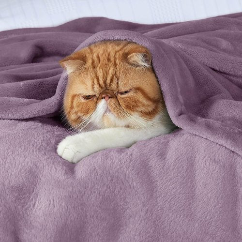 Bedsure GentleSoft Fleece Blanket - Cozy Lightweight Plush Queen Size in Fog Purple, 90x90 Inches