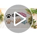 AUEAR 10 Pack Gray Adhesive Paw Print Bath Treads - Non-Slip Stickers