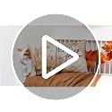 RABUSOFA Fall Throw Pillow Cover 12x20 - Dried Pampas Grass Decor