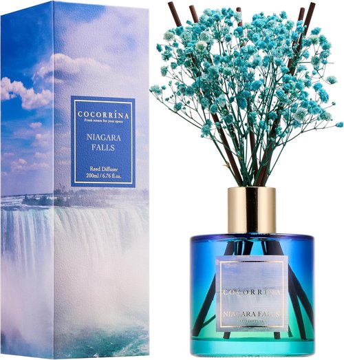 Cocorrína Reed Diffuser - Niagara Falls 6.7 Fl. Oz Set with 8 Sticks & Preserved Baby's Breath | Home Decor