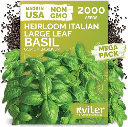 KVITER 2000 Italian Basil Seeds - Heirloom Sweet Genovese, Non-GMO for Indoor & Outdoor Gardens