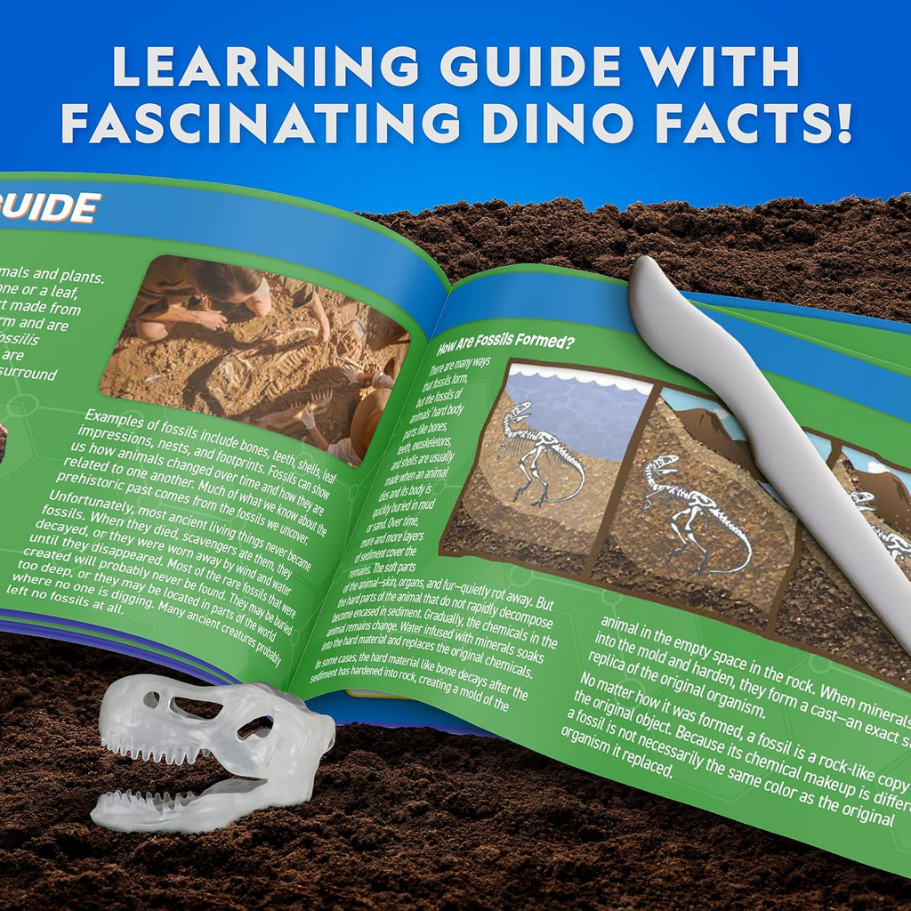 National Geographic T. Rex Dissection Lab - Glow-in-the-Dark Dinosaur Model, 9.5” Skeleton, Includes Refill Pack & Learning Guide