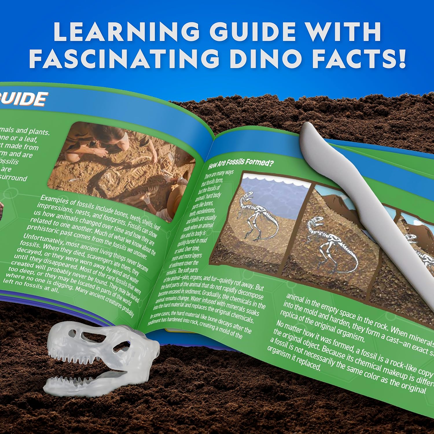 National Geographic T. Rex Dissection Lab - Glow-in-the-Dark Dinosaur Model, 9.5” Skeleton, Includes Refill Pack & Learning Guide