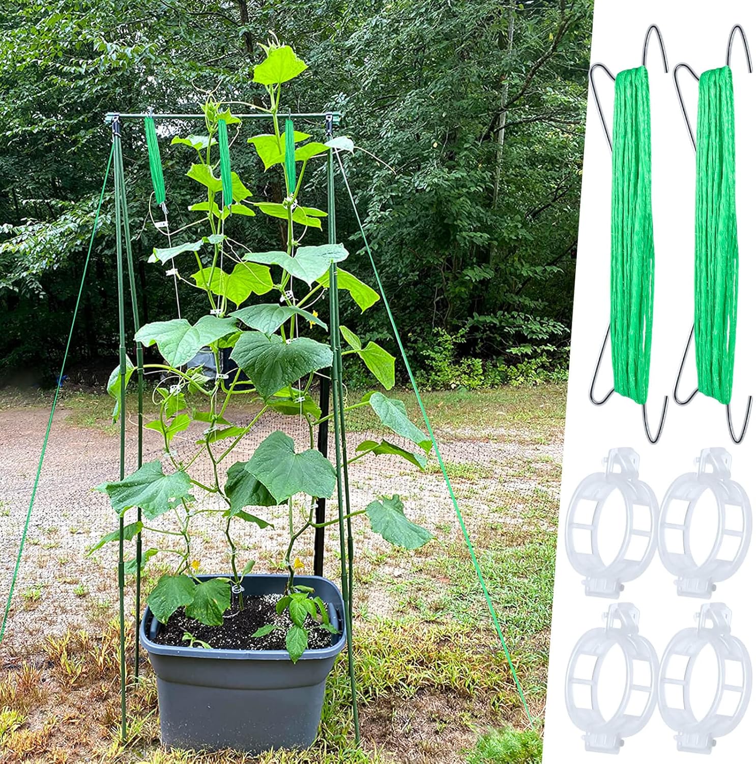 Skiennix 30Pcs Tomato Support Hooks - Durable Holders with 33.3ft Twine for Healthy Growth